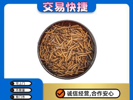 景德镇市昌江高价回收散虫草
